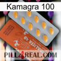 Kamagra 100 43